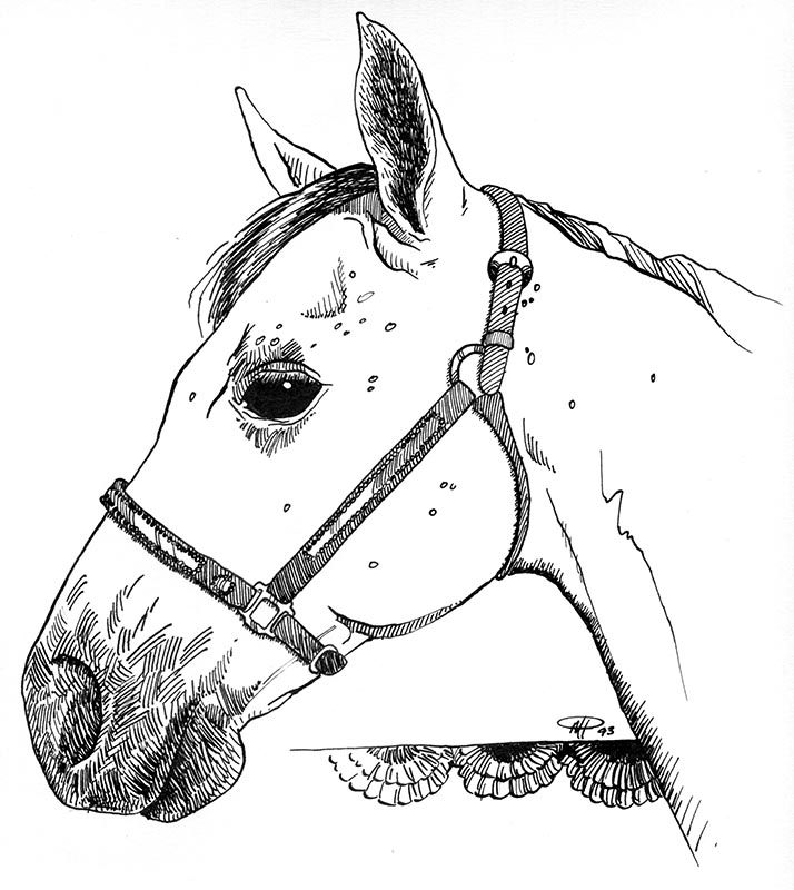 snickers coloring pages - photo #13